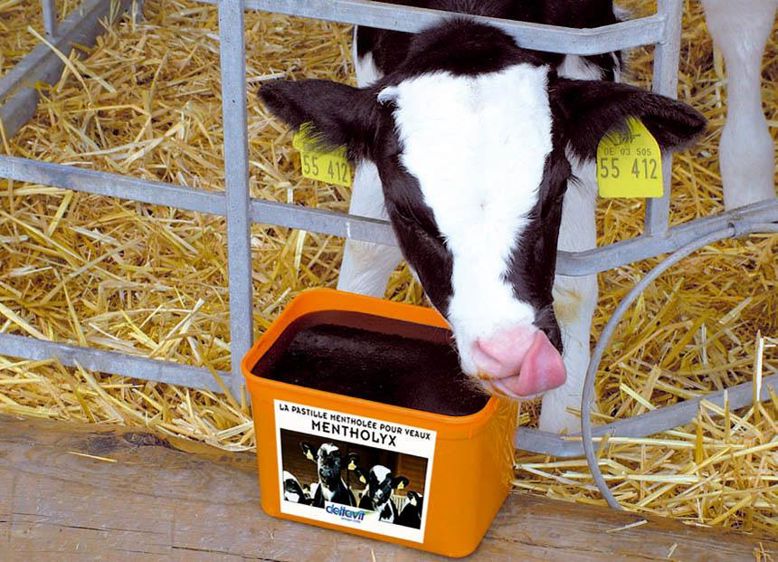 Enrichi en huiles essentielles, Mentholyx améliore le confort respiratoire des veaux et leur apporte les vitamines et les oligoéléments indispensables (zinc chélaté, MOS...).