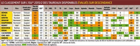 Démon, crack en mamelle Pour ceux qui arriveront à lui trouver un support peu apparenté avec son origine Normand/Tintouin, Démon constituera un taureau de choix pour travailler les mamelles avec son 132 en synthèse et 116 en trayons. Sa descendance offre par ailleurs de la taille (114), de bonnes profondeurs (105/109) et des aplombs solides (111).