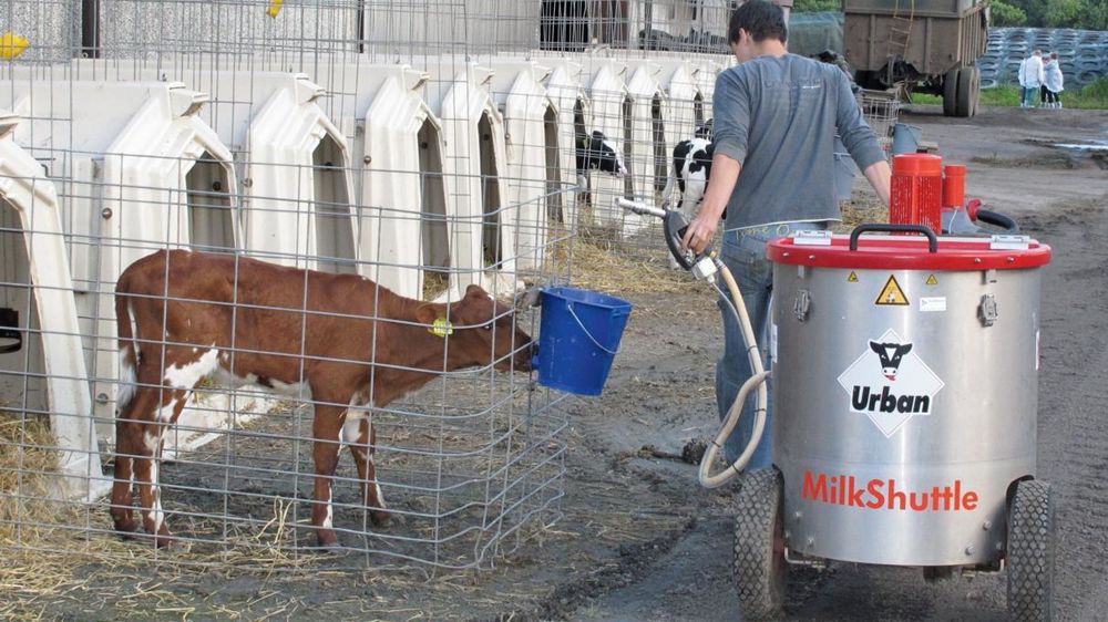 Les niches individuelles extérieures offrent d'excellentes conditions de vie aux jeunes veaux. Avec des équipements de type taxi à lait, la distribution de la buvée peut être mécanisée (ici en Suède).© P.L.C. Les niches individuelles extérieures offrent d'excellentes conditions de vie aux jeunes veaux. Avec des équipements de type taxi à lait, la distribution de la buvée peut être mécanisée (ici en Suède).© P.L.C.