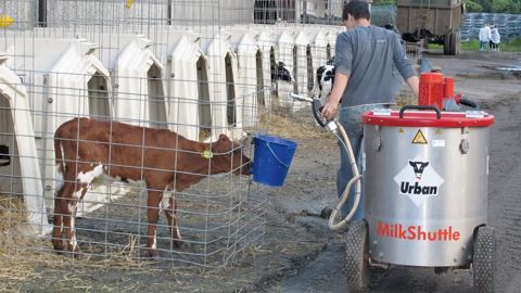 Les niches individuelles extérieures offrent d'excellentes conditions de vie aux jeunes veaux. Avec des équipements de type taxi à lait, la distribution de la buvée peut être mécanisée (ici en Suède).© P.L.C.