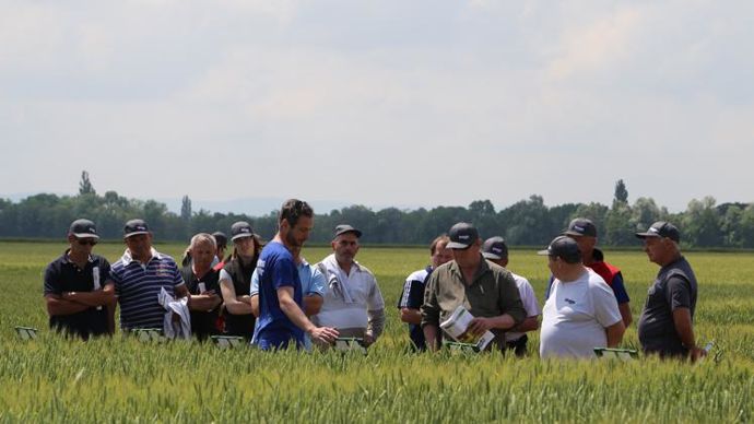 « La vente n’interdit pas d’aller dans les champs, de faire des diagnostics maladies, ravageurs, et de réfléchir ensemble à des solutions alternatives », explique Marius Boivin, directeur approvisionnement productions végétales de Terre Comtoise.