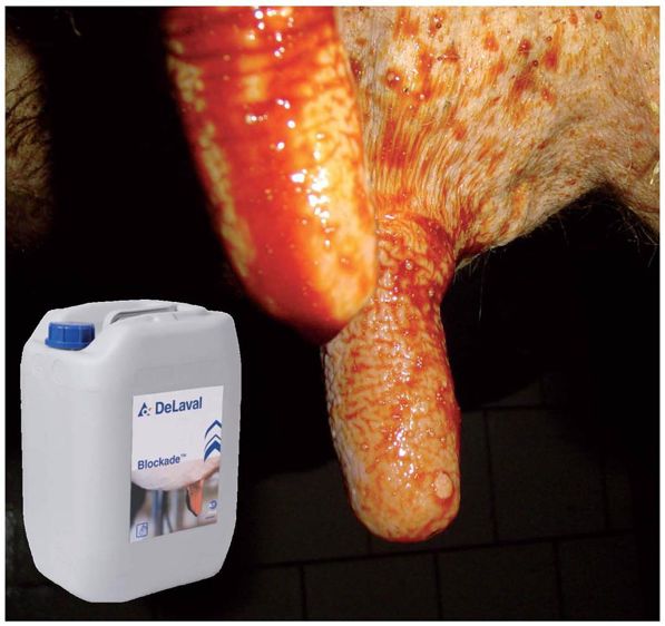 Le système de pulvérisation du Blockade peut être installé en moins d'une journée sur tout type de salle de traite conventionnelle. Pour l'instant, il n'est pas compatible avec le robot.