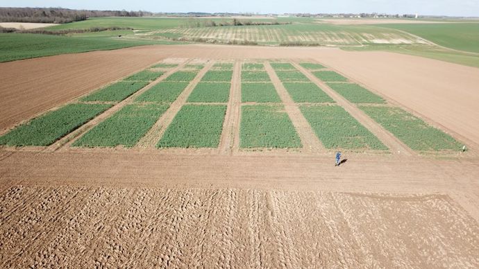 La première plateforme d’expérimentation a été mise en place à l’été 2020 à Quevauvillers dans la Somme. Afin d’obtenir des données dans différents contextes pédoclimatiques, un deuxième site en Côte-d’Or conduit par Dijon céréales vient s’ajouter pour cette campagne 2021-2022. © NORIAP