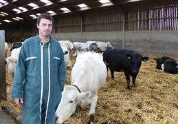 Le pari de Ludovic Liénard : faire coexister deux races complémentaires, mais aux caractéristiques opposées, la bleue du Nord et la prim'holstein.© J.P. Le pari de Ludovic Liénard : faire coexister deux races complémentaires, mais aux caractéristiques opposées, la bleue du Nord et la prim'holstein.© J.P.