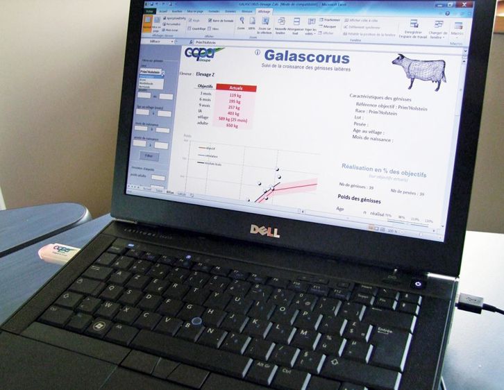 Le logiciel Galascorus facilite le suivi des futures laitières pour adapter les pratiques d'élevage en fonction des objectifs de croissance.