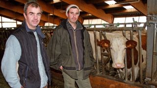 - L'EXPLOITATION - À Buissard (Hautes-Alpes) - Gaec 1,5 UMO - 60 ha de SAU, dont 45 ha labourables avec 6 ha de céréales, le reste en herbe - 42 montbéliardes à 6 000 kg/VL/an - Génisses menées l'été en alpage collectif - L'EXPLOITATION - À Buissard (Hautes-Alpes) - Gaec 1,5 UMO - 60 ha de SAU, dont 45 ha labourables avec 6 ha de céréales, le reste en herbe - 42 montbéliardes à 6 000 kg/VL/an - Génisses menées l'été en alpage collectif