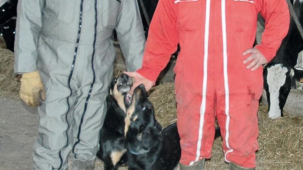 David et Alex Doublet ont développé la méthanisation, mais restent éleveurs. Pas question pour eux de substituer la méthanisation à leur cheptel ou de méthaniser des fourrages.© C.R.