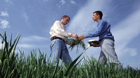 L’enquête sur le conseil agricole présentée par l’Académie d’agriculture le 6 avril, a été menée en janvier et février derniers auprès de 14 agriculteurs aux profils variés, avec des exploitations entre 10 et 400 ha, dans différentes régions. © C. THIRIET