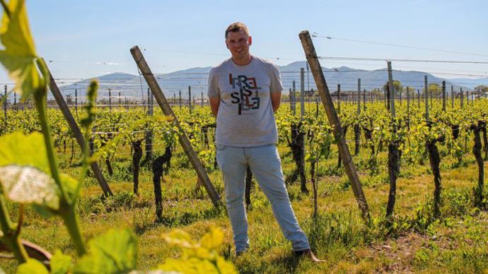 Aymé Dumas, fondateur d’AB2F Conseil et ex-responsable technique vigne du négoce Armbruster, fait part d’un bon accueil des offres de conseil proposées.