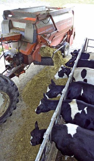 Optidiet améliore la digestibilité des fibres de la ration.© CLAUDIUS THIRIET