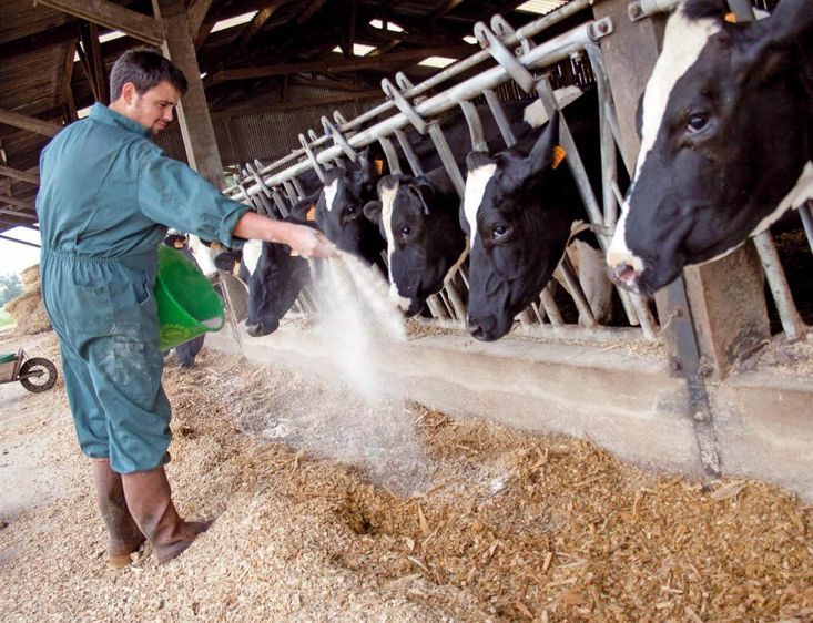 Mozaïc 45 Défi et Mozaïc G30 Défi présentent l'intérêt d'augmenter la dégradabilité de la fibre.© SEBASTIEN CHAMPION