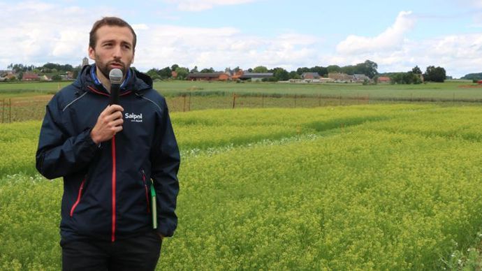 « La cameline en intercultures n’entre pas en compétition avec les cultures alimentaires, c’est là tout son intérêt », explique Guillaume de la Forest, chargé de mission agronomie chez Saipol, qui souhaite lancer une filière pilote dès cet été. © B. CAILLIEZ