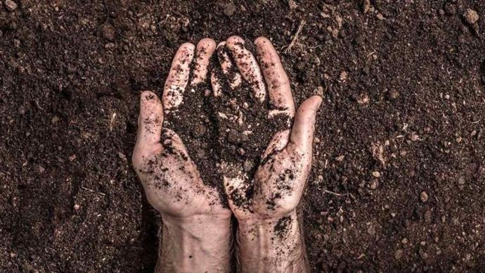 L’association Climate agriculture alliance souhaite participer à la reconnaissance du rôle de décarbonation de l’agriculture et renforcer ainsi la valorisation du capital terre.