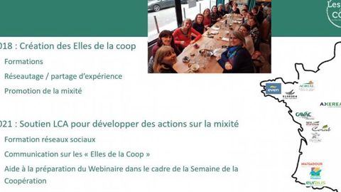 Une des pages du guide numérique de la féminisation d’un conseil d’administration présenté lors d’un webinaire par le club des Elles de la Coop et qui sera diffusé auprès des CA des coopératives agricoles.