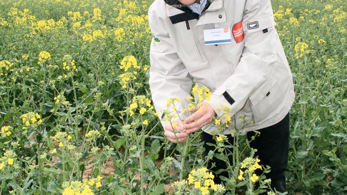 Adrien Didier, l'animateur de Sicatech : « Nous allons pouvoir nous intéresser à de nouveaux sujets comme le biocontrôle, les méthodes de production alternative, le strip till... »B. CAILLIEZ
