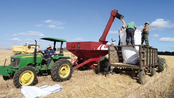 L'objectif principal de l'Inia est de poursuivre l'augmentation de rendement, grâce à l'apport de nouvelle génétique.C. DEQUIDT