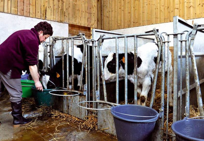 L'apport conseillé est d'une dose par repas d'Hydrane .© JÉRÔME CHABANNE