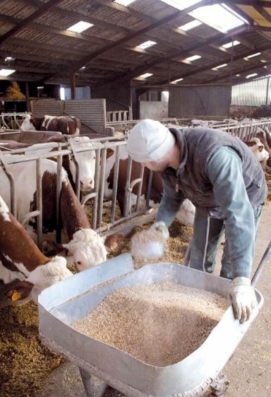 Avec Aliplan, le technicien est à même de proposer le coût de complémentation le moins élevé.© SEBASTIEN CHAMPION