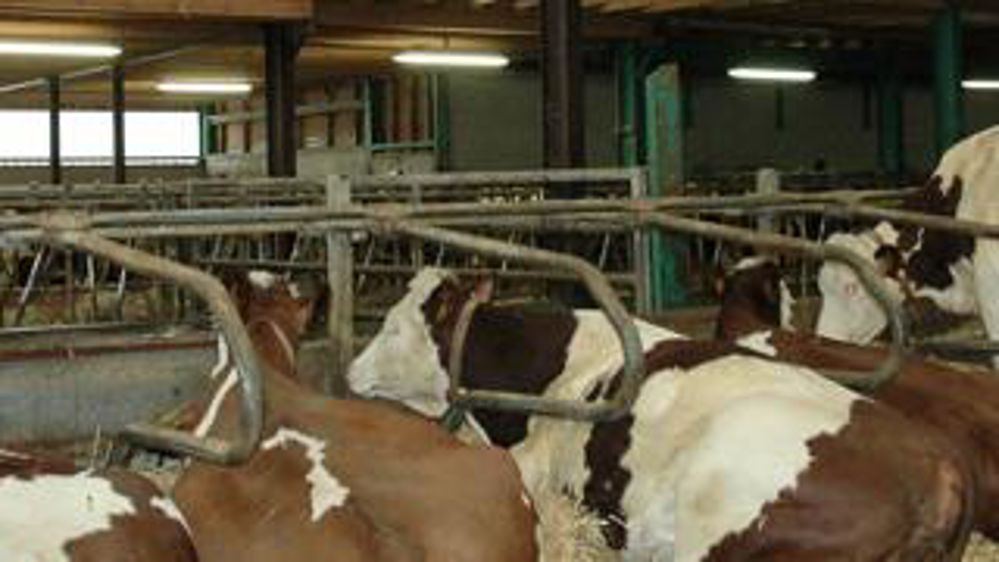 Captation. L’intégralité de la richesse supplémentaire produite entre 2010 et 2015 par les exploitations en lait à comté a été captée par les marchands d’aliment, de matériel et de bâtiment.J.-M. Vocoret