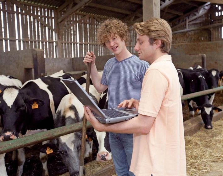 La firme service propose de mieux détecter l'acidose latente d'un troupeau afin d'améliorer l'efficacité alimentaire.© CHRISTIAN WATIER