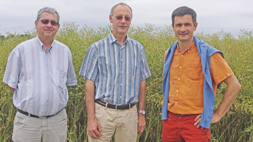 « La condition de notre engagement est que le savoir-faire de nos adhérents et de la coopérative soit valorisé par un prix adéquat », soulignent Bernard Iweins, responsable commercial céréales, Jean Bourtembourg, responsable pôle céréales et Guillaume Vigneau, responsable développement adhérents.C. URVOY