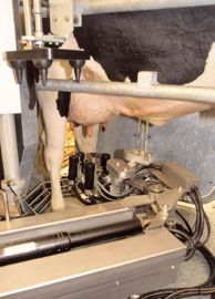 L'appétence de chaque aliment, sa sécurité alimentaire et son niveau de fermentescibilité sont mesurés.
