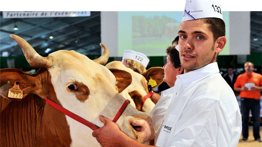 Lionel Viguier a pu se libérer pour prendre part au concours national Simmental.© CATHERINE REGNARD