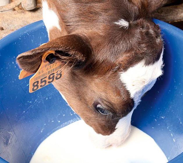 © SÉBASTIEN CHAMPION