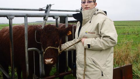 « Il faut cultiver l'herbe comme le blé. »C. URVOY « Il faut cultiver l'herbe comme le blé. »C. URVOY