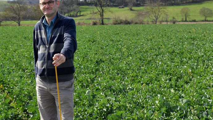 Sylvain Lemaître, responsable des fermes déphy du négoce en céréales Maison François Cholat, dans un champ de colza en début de floraison cultivé en plantes compagnes, Saint Jean de Bournay, Isère, le 13 mars 2020. © Groupe France Agricole