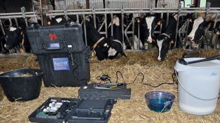 L'audit TopAlim d'Optival comprend l'intervention d'un conseiller pendant une demi-journée. Il est fondé sur une série de mesures visant à identifier la source des écarts observés entre une ration théoriquement bien calée et la réponse en lait du troupeau.© OPTIVAL L'audit TopAlim d'Optival comprend l'intervention d'un conseiller pendant une demi-journée. Il est fondé sur une série de mesures visant à identifier la source des écarts observés entre une ration théoriquement bien calée et la réponse en lait du troupeau.© OPTIVAL
