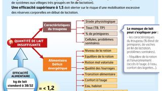 On peut retenir comme repère un maximum de 30 g de matière sèche ingérée/kg de poids vif, soit 21 kg de MS pour une vache de 700 kg. Au-dessus de ce seuil, le transit est trop rapide !© SÉBASTIEN CHAMPION On peut retenir comme repère un maximum de 30 g de matière sèche ingérée/kg de poids vif, soit 21 kg de MS pour une vache de 700 kg. Au-dessus de ce seuil, le transit est trop rapide !© SÉBASTIEN CHAMPION