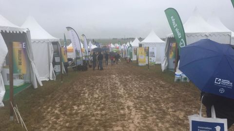 Les Culturales ont affronté le 5 juin la journée la plus pluvieuse de l’année dans la région, avec une trentaine de millimètres tombée entre l’ouverture et la fermeture. © R. FOURREAUX