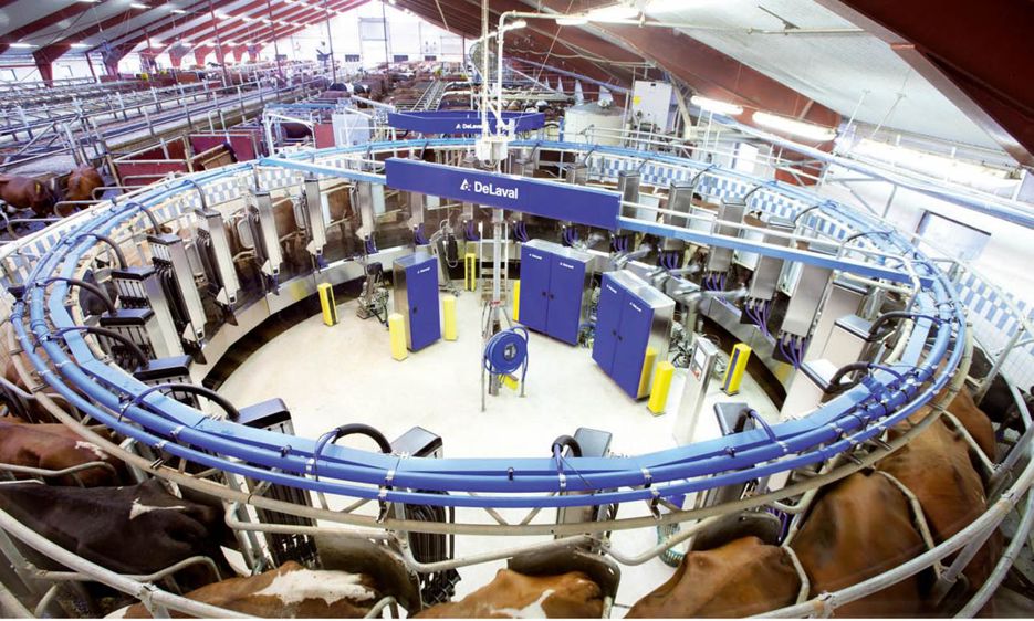 Quatre bras robotisés s'occupent de quatre vaches simultanément pour préparer les trayons et ensuite poser les gobelets. Un cinquième bras prend en charge la pulvérisation des trayons une fois la traite terminée.