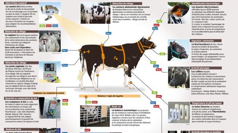 Identifier une vache à l'aide de lunettes et par simple commande vocale n'est pas de la science-fiction. Après le déploiement de son logiciel de gestion de troupeau sur smartphone, Lely dévoile une nouvelle application pour smartwatch (montre connectée) et lunettes Google Glass. À partir d'une connexion Wifi et d'un capteur d'identification sur l'animal, il est ainsi possible d'accéder à distance aux données du logiciel d'exploitation, sans passer par le bureau. Ces interfaces pourraient être co