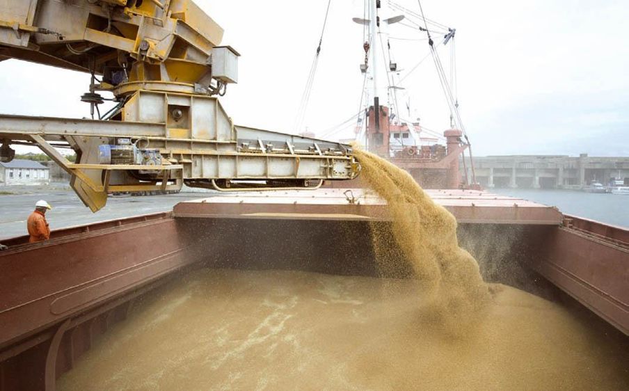 51 % du chiffre d'affaires de la branche nutrition et santé animale sont réalisés à l'étranger.©CLAUDIUS THIRIET