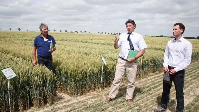 Denis Mauny, du service agro (à gauche), Jean-Paul Moreau, directeur appro et chef de marché semences, chez Soufflet Agriculture, et Fabrice Bourjot, des Moulins Soufflet, lors de la présentationde la plateforme Soufflet de l'Aube, en juin 2017.Le mélange de variétés de blé, proposé aux clients de Soufflet pour les semis de l'automne 2017, était composé de cinq variétés BPS.B. CAILLIEZ