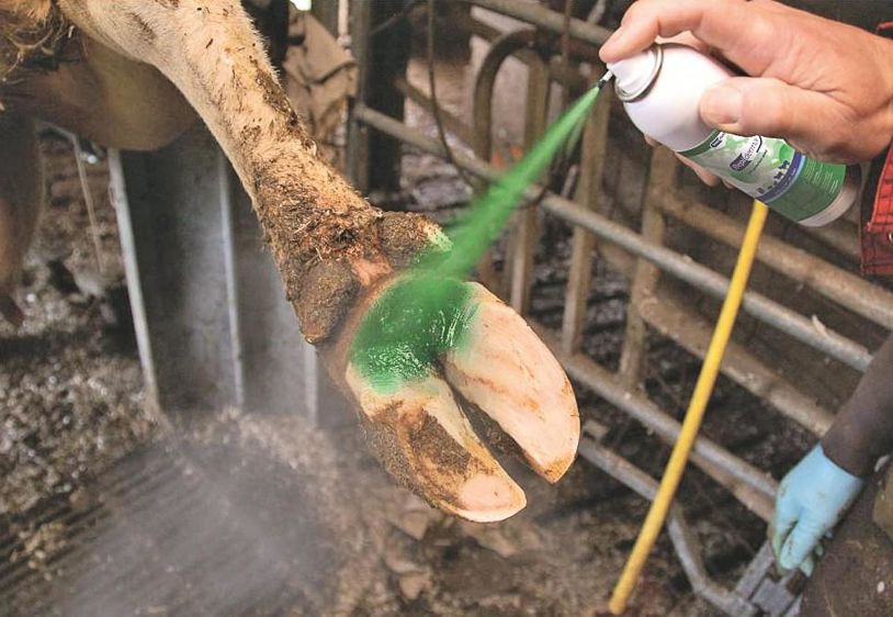 Grâce à la forte pression à la sortie de la pipe directrice, l'application est précise et facile à effectuer. 