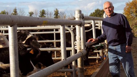 Bernard Airieau, l'un des trois associés du Gaec des Platanes.PHOTOS G.D.