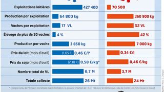 Entre 1984 et 1992, 9 % des éleveurs laitiers disparaissaient chaque année. Une hémorragie au bénéfice des exploitations moyennes.© JEAN-MICHEL VOCORET Entre 1984 et 1992, 9 % des éleveurs laitiers disparaissaient chaque année. Une hémorragie au bénéfice des exploitations moyennes.© JEAN-MICHEL VOCORET