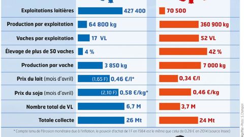 Entre 1984 et 1992, 9 % des éleveurs laitiers disparaissaient chaque année. Une hémorragie au bénéfice des exploitations moyennes.© JEAN-MICHEL VOCORET