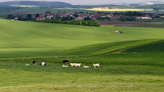 Que vont faire, après 2015, ces exploitations qui combinent plusieurs ateliers bovins ? Vont-elles se spécialiser et développer l'atelier laitier, ou plutôt maintenir une certaine mixité ? Les évolutions s'annoncent contrastées selon les bassins laitiers.© CHRISTIAN WATIER Que vont faire, après 2015, ces exploitations qui combinent plusieurs ateliers bovins ? Vont-elles se spécialiser et développer l'atelier laitier, ou plutôt maintenir une certaine mixité ? Les évolutions s'annoncent contrastées selon les bassins laitiers.© CHRISTIAN WATIER