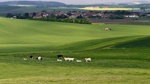 Que vont faire, après 2015, ces exploitations qui combinent plusieurs ateliers bovins ? Vont-elles se spécialiser et développer l'atelier laitier, ou plutôt maintenir une certaine mixité ? Les évolutions s'annoncent contrastées selon les bassins laitiers.© CHRISTIAN WATIER