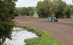 L'AFPF préconise une dose de semis de 30 kg/ha au maximum et insiste sur la finesse et le rappuyage du sol.© CHRISTIAN WATIER L'AFPF préconise une dose de semis de 30 kg/ha au maximum et insiste sur la finesse et le rappuyage du sol.© CHRISTIAN WATIER