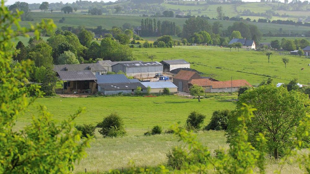 Le maintien de la biodiversité est l'un des critères pour la certification des exploitations à haute valeur environnementale.© STÉPHANE LEITENBERGER