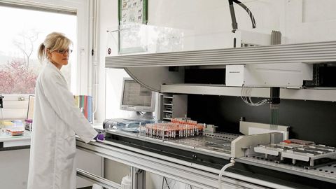 Le laboratoire Labogéna s'est équipé pour génotyper à grande échelle, ce qui permet de mettre au catalogue des taureaux sans descendance. Leur utilisation est délicate en élevage, car la précision des index reste relativement faible.© GONZAGUE DEFOIS