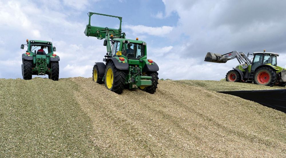 La météo estivale a permis de bons rendements quasiment partout sur le territoire.© CHRISTIAN WATIER