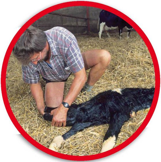 Photos © Claudius Thiriet, sauf acupuncture : Régis Braque