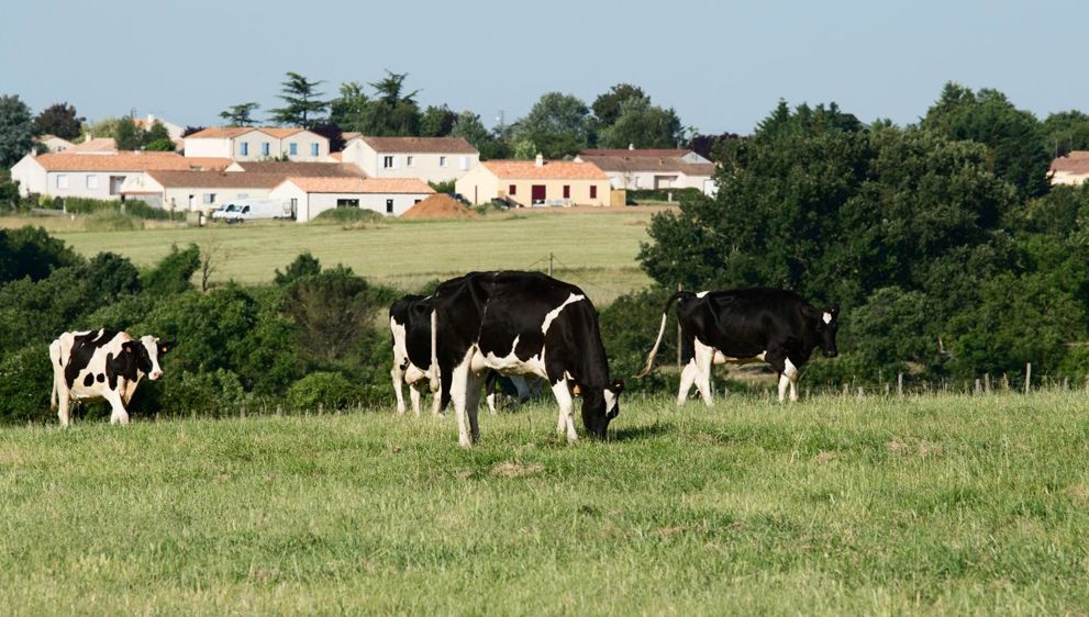 © SÉBASTIEN CHAMPION