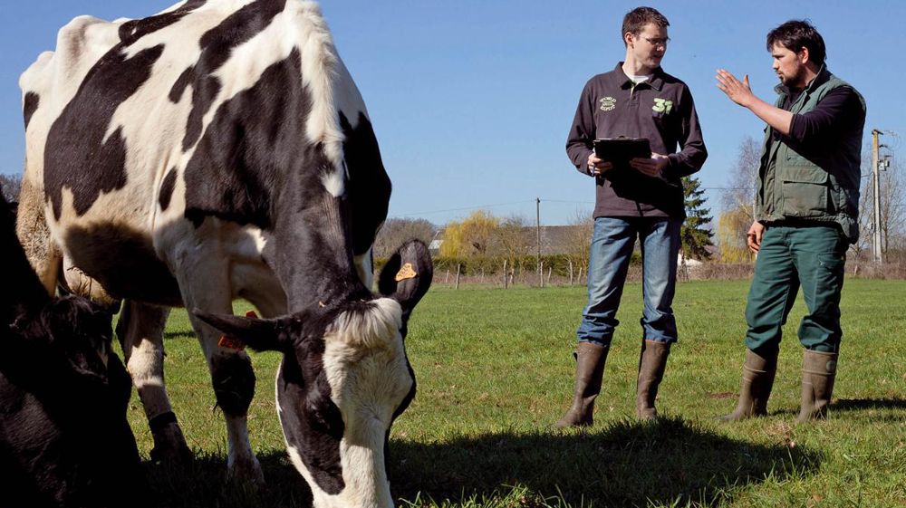 © SÉBASTIEN CHAMPION